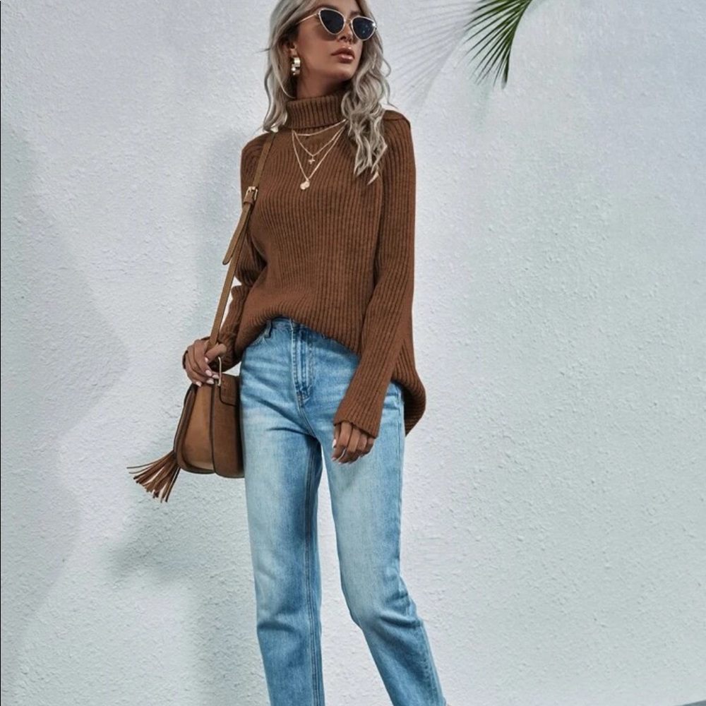 Turtleneck Sweater